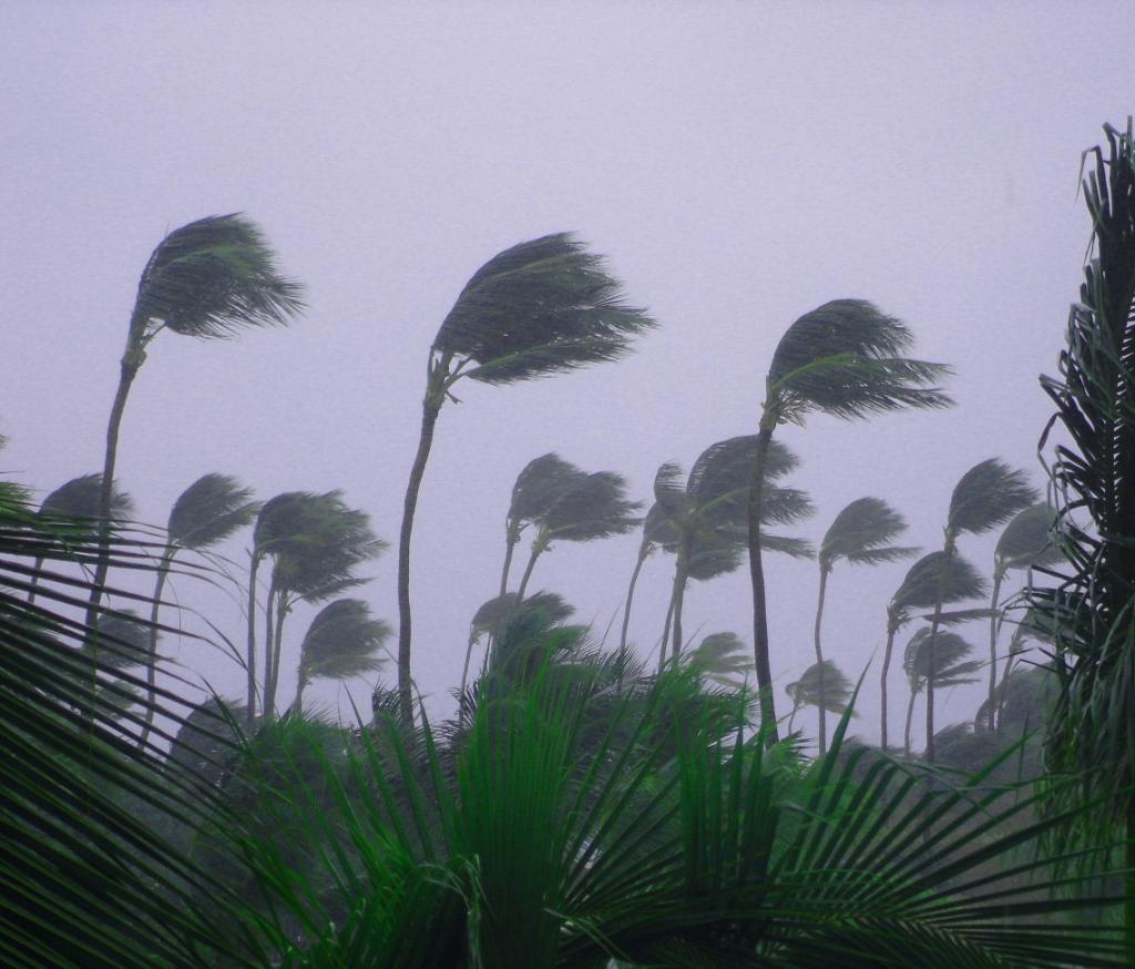 heretohelp's tweet photo. For those who have been affected or are in the path of tropical storm Isaias, our thoughts are with you in this difficult time. If you need to file a claim, our team is here to help 24/7.
https://t.co/Qn4feG1Ohx https://t.co/8s7kYuS1Ux