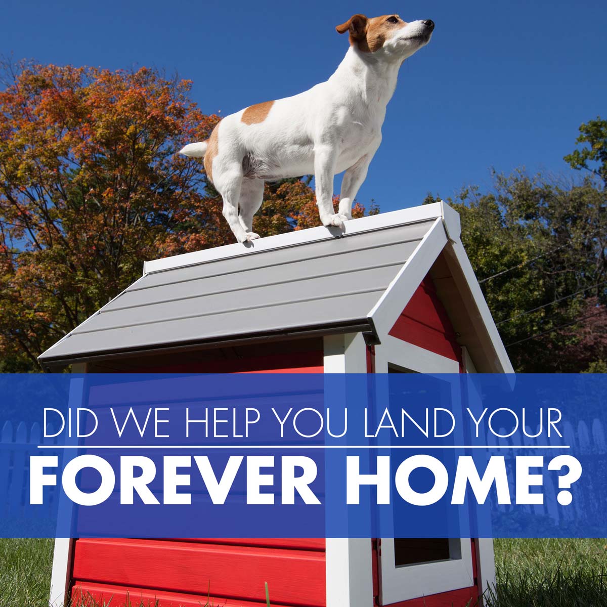 Designer_Nic's tweet image. Did we help you close on your #foreverhome? Tell a friend or try us today. #multipleoptions #bestloans #bestagent