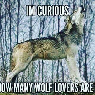 Idigenous people tweet media