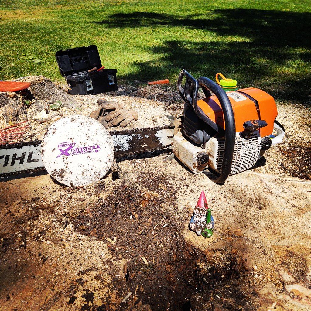 FargoParkAlec's tweet image. Everyday is an adventure in forestry. Found this little disc golfing gnome in a boxelder we just cut down! #FargoParks #surprise #wouldyoulookatthat #neat