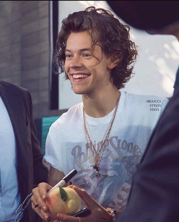 girlouis's tweet photo. IMAGINA O HARRY STYLES VOLTANDO COM ESSE CABELO PQP IA SER SIMPLESMENTE TUDO https://t.co/9hoWKb8hFh
