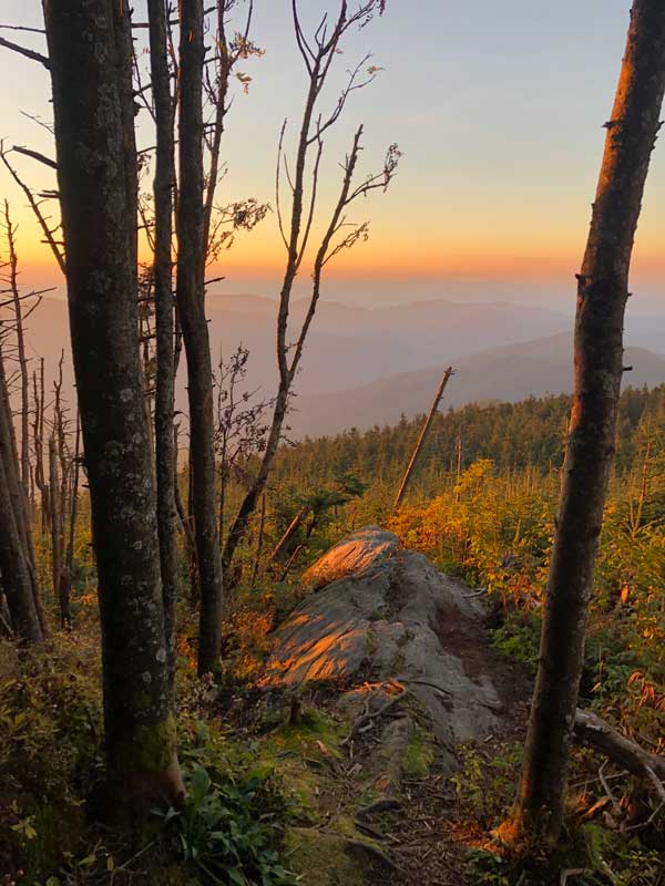 Leland's North Brunswick Magazine tweet media