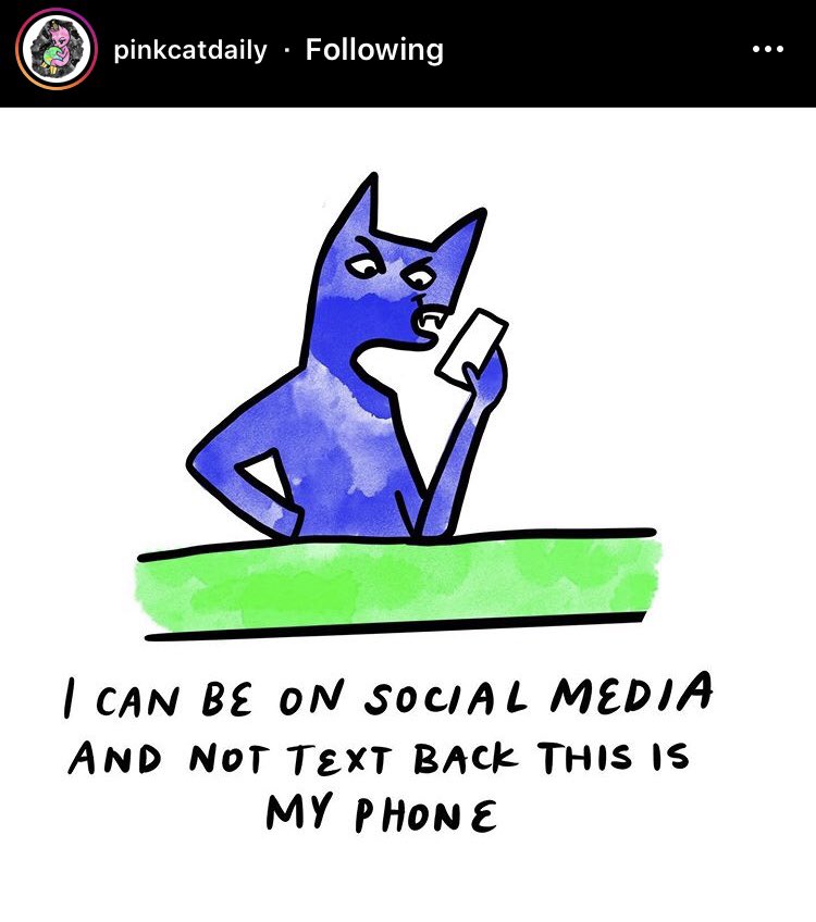 mayra alessandra tweet media