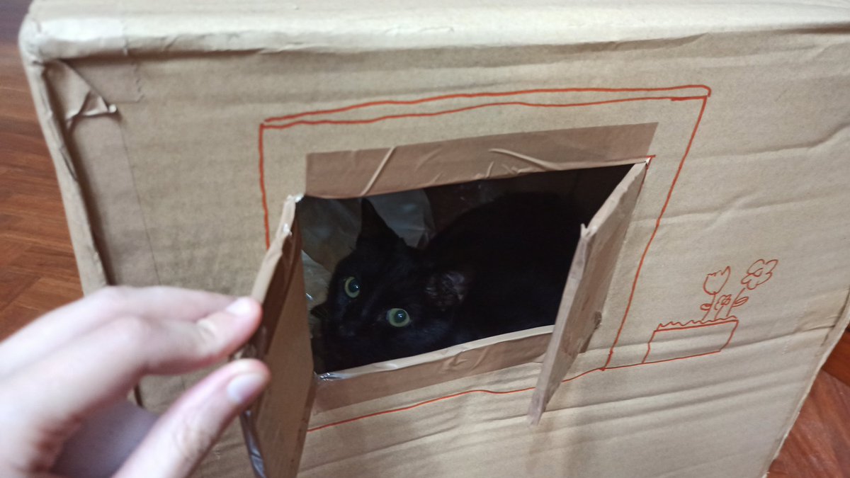 AtomicBel's tweet photo. Le he hecho una casita a Cofito. Tiene ventanitas y un buzón para poder recibir cartas de amor las cuales recoge con mucho cariño. https://t.co/VCQegps9Zw