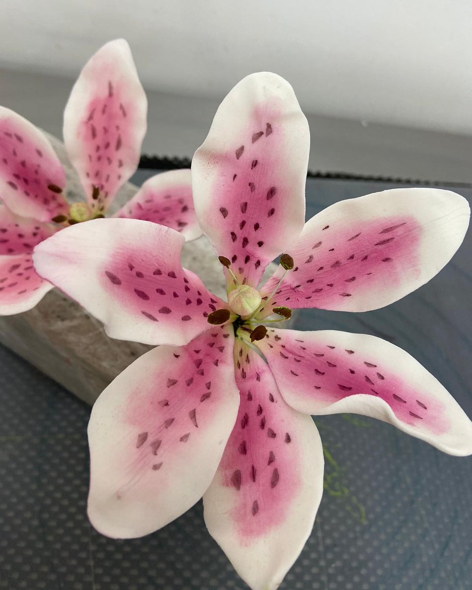Custommycake's tweet photo. Hand crafted and painted stargazers ❤️

A favourite task in the kitchen..

07584 413 269
info@nice-to-ice.co.uk
https://t.co/FuYlF2qypG

#grimsby #nelincs #nicetoice #totallylocallynel https://t.co/kW3oZTWLcT