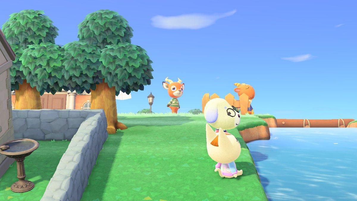 Asuteishia's tweet photo. #AnimalCrossing #ACNH #NintendoSwitch https://t.co/a7yIeHuPqV
