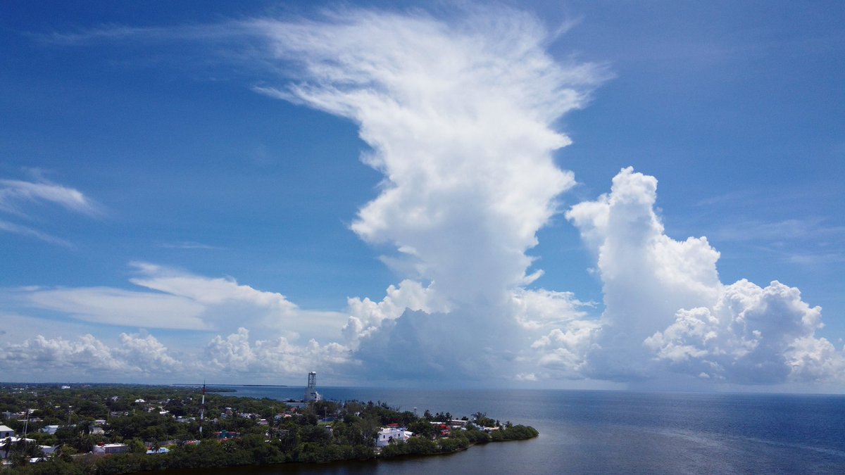 SoyGelo21's tweet photo. La despeinada de la bahía.
Ccp. @VivoEnChetumal @DJIMexOficial
#Angelo21go #DJI #DJIGlobal #DJIMexico #Mavic #MavicMini #Drone #Chetumal #Bahia #QuintanaRoo #Mexico #Lanscape #JustChillin #Cuarentena #Quarentine #Covid19 #QuedateEnCasa #StayHome #ILovePhotography #GoInstagram https://t.co/RYOJraHTWr