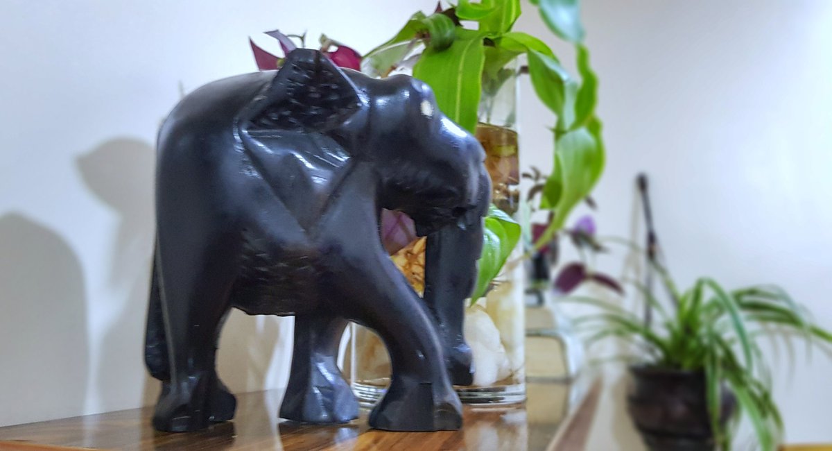 lifegivingsun's tweet photo. I got gifted 4 Elephant Sculptures and it enlivened my spirit.
Highlight of my day! 🤸🏾♀️😊
#SpiritAnimal #BeautifulSurprise https://t.co/tb6p6Fwx1A