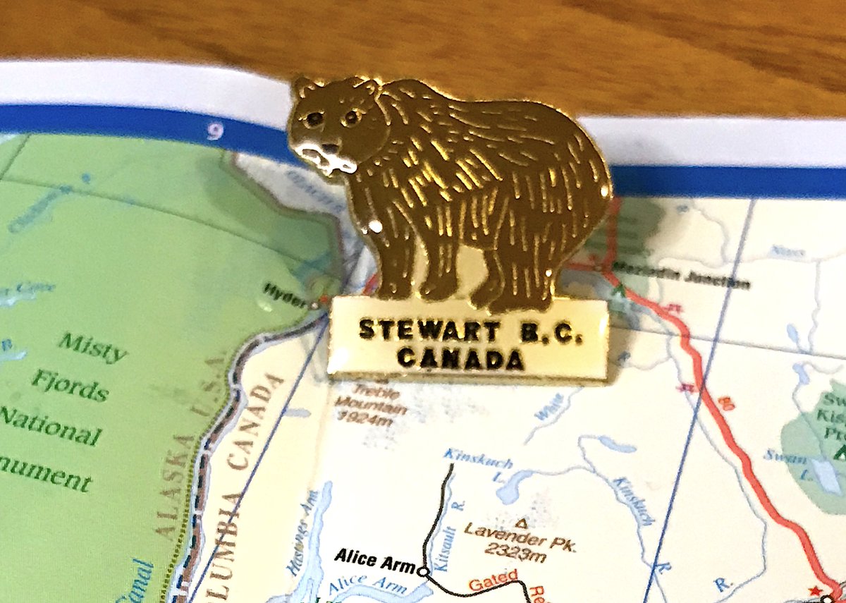 101. STEWART- ROAR A BEAR- The detail on it is nice and the bear is cute though- Lions pin is better, but I had to go with the official one- Stewart has 401 people, somehow I have three pins from there, what has become of my life