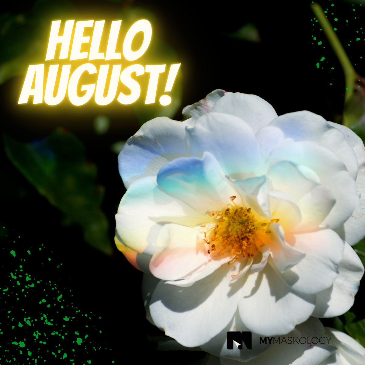 MyMaskology's tweet photo. ❤️Hello August! 

How are you all doing today? As the first Monday in August, it seems only right to make some plans for the next 28 days! 

These plans could be your work-study target, exercise plan, or start something completely new, a challenge?🤗 https://t.co/fSXdgxKNAb