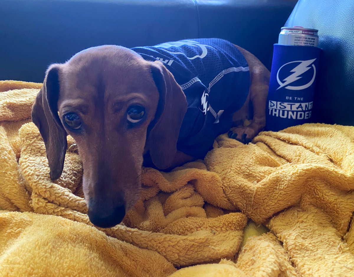 Lindsay Belcher (@lindsaybelcher) on Twitter photo Bowser Belcher is ready to #BeTheDistantThunder for our <a href="/TBLightning/">Tampa Bay Lightning</a> β‘οΈβ‘οΈβ‘οΈβ‘οΈLetβs Go Bolts!!!!! Bowser Belcher is ready to #BeTheDistantThunder for our <a href="/TBLightning/">Tampa Bay Lightning</a> β‘οΈβ‘οΈβ‘οΈβ‘οΈLetβs Go Bolts!!!!!