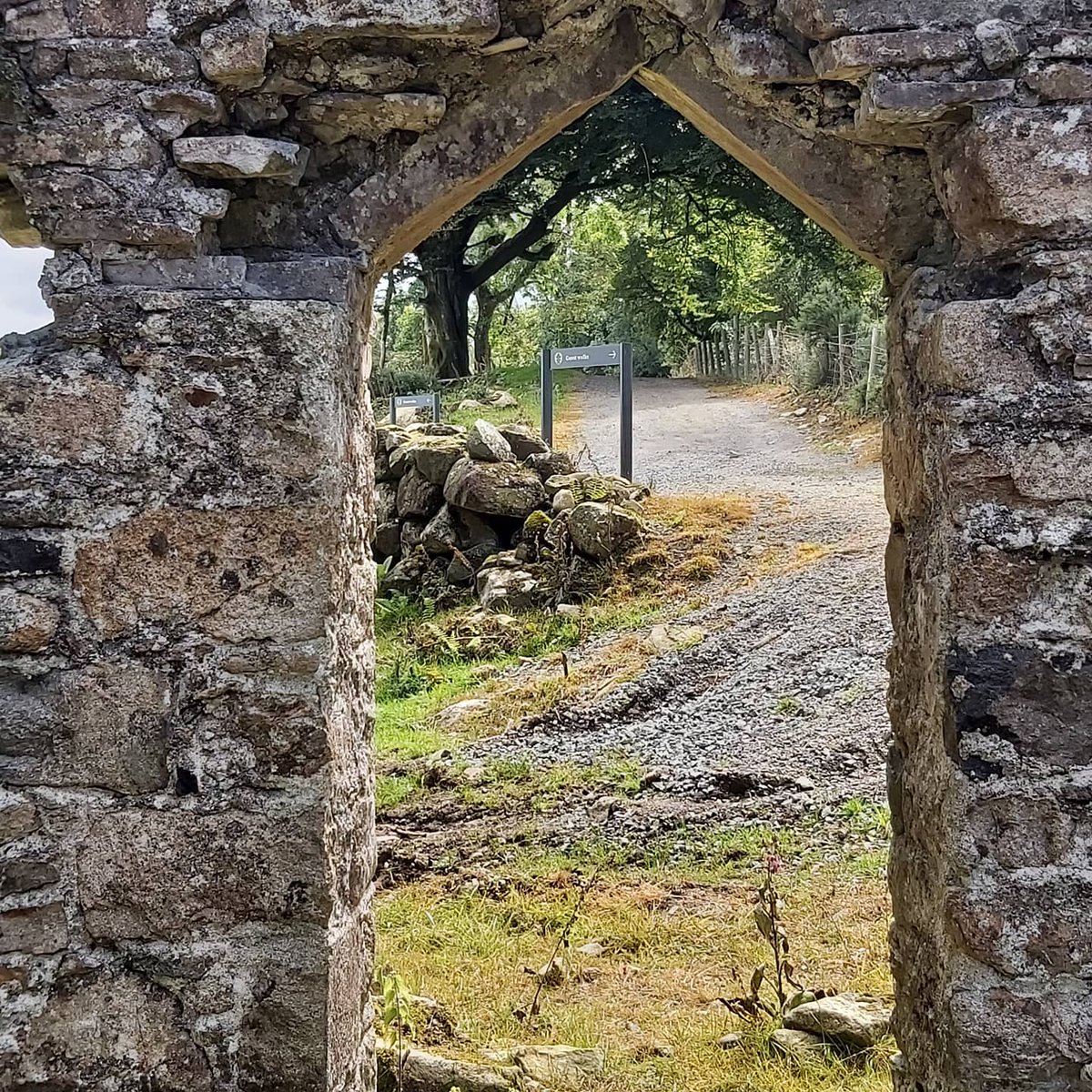 🇵🇸 Doc O Connor 🇿🇦 (@dococ10) on Twitter photo Of all the places I've stayed in the world, this little hidden gem is definitely pushing for a top spot. Amazing food, drinks & hospitality. All in the beautiful setting of the Ring of Gullion. A shout out to the bar manager Seamus who made us feel so welcome at <a href="/KilleavyCastle/">Killeavy Castle Estate</a> Of all the places I've stayed in the world, this little hidden gem is definitely pushing for a top spot. Amazing food, drinks & hospitality. All in the beautiful setting of the Ring of Gullion. A shout out to the bar manager Seamus who made us feel so welcome at <a href="/KilleavyCastle/">Killeavy Castle Estate</a>