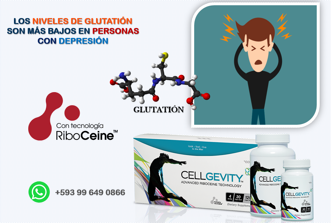 EL GLUTATIÓN PUEDE PREVENIR Y TRATAR EL ESTRÉS Y LA DEPRESIÓN

Los niveles de glutatión son más bajos en personas con depresión

WhatsApp +593 99 649 0866

.

#Glutation #RiboCeine #MaxOne #RiboCeina #Cuenca #Ecuador #CellGevity #Max #MaxIternacional #ProductoNatural