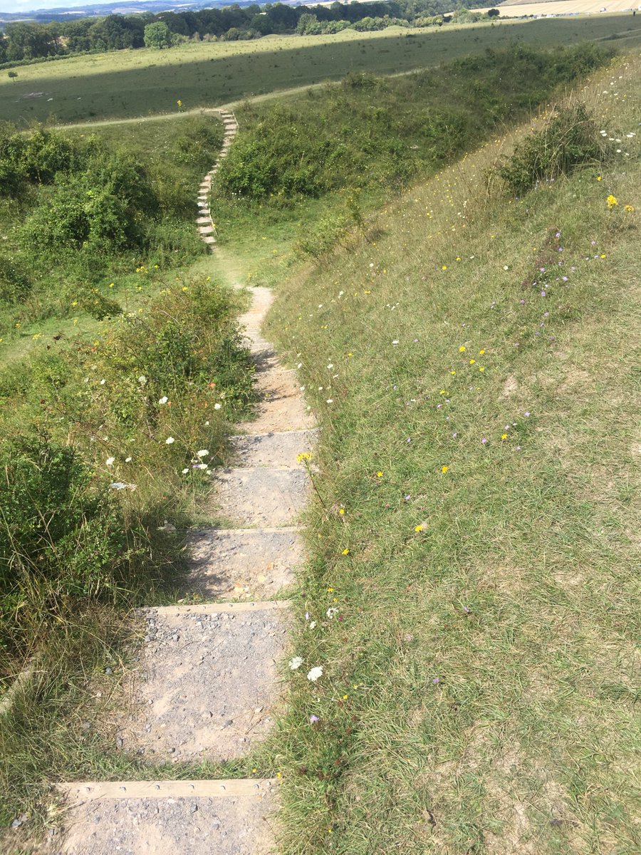 Badbury Rings offered some amazing views this morning #visitdorset #badburyrings