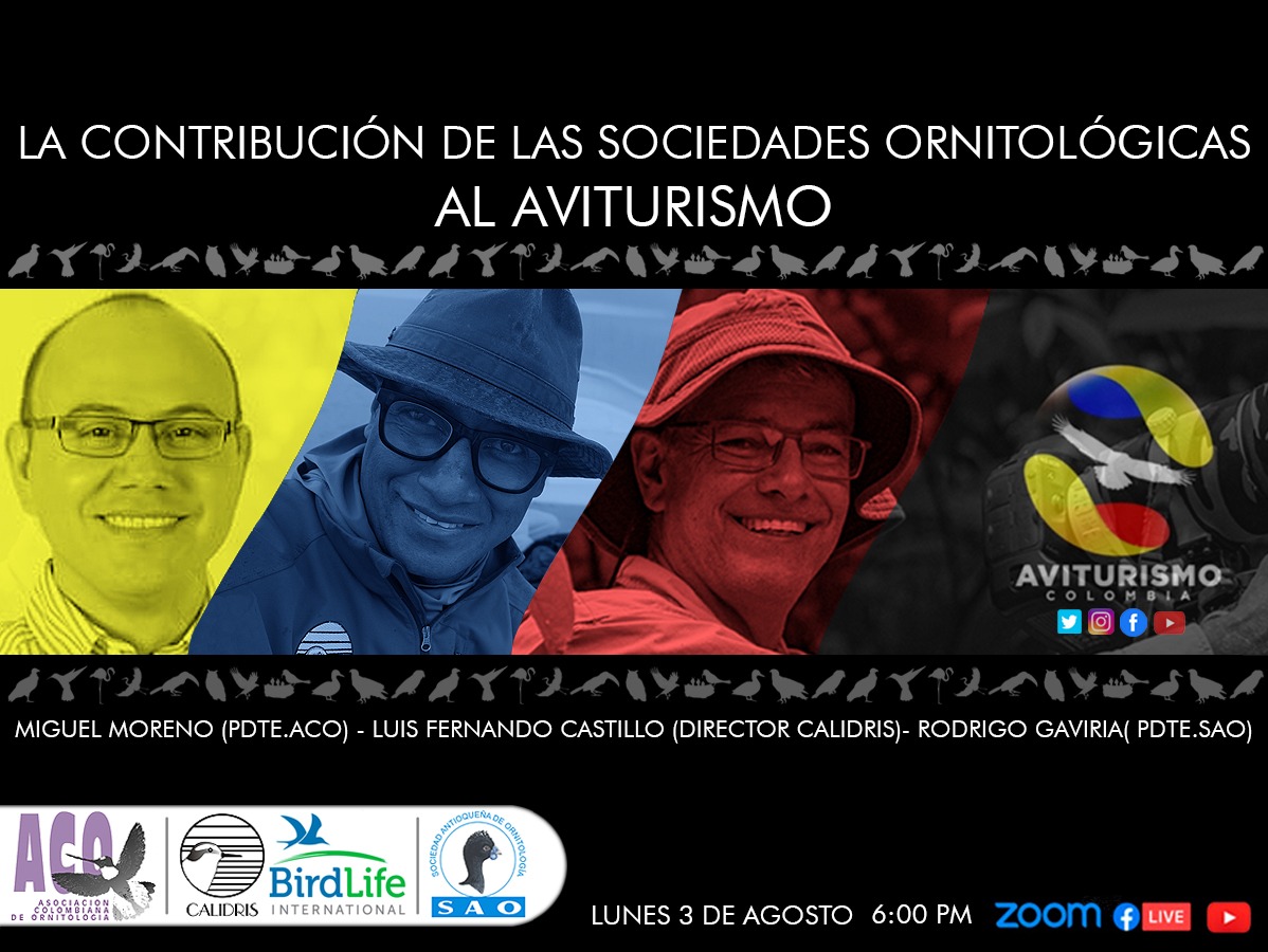 Hablemos sobre el aporte de las sociedades ornitológicas al Aviturismo.
youtu.be/3A4SNR7QINk