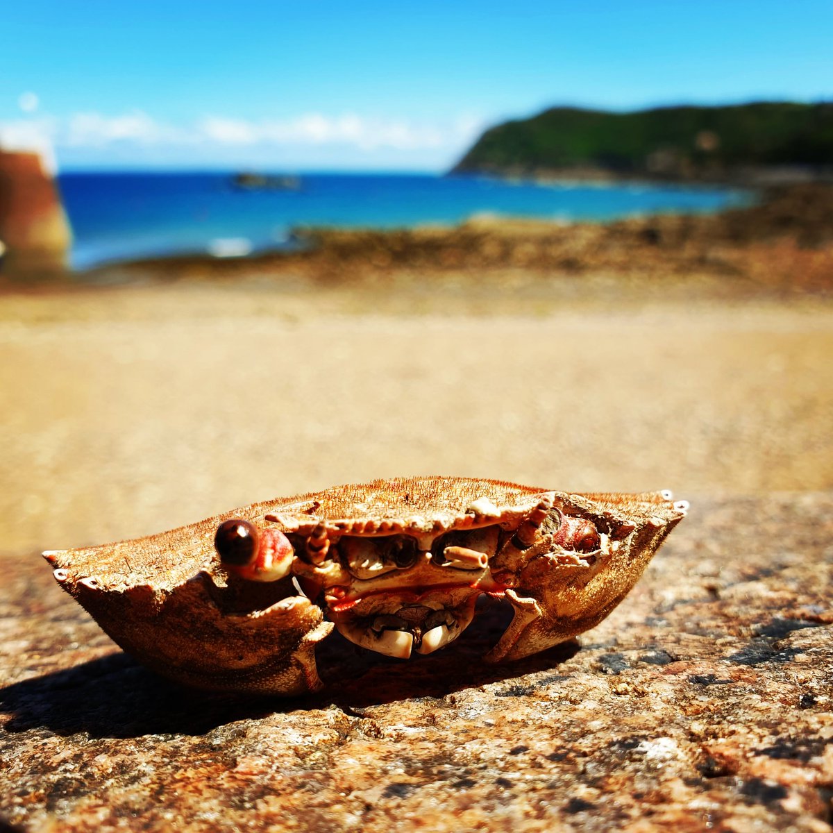 Jour 1/7 : je relève le défi #mylifeinpictures que m’a lancé <a href="/nellysimo/">@nellysimo</a>

Objectif : poster 1 photo par jour pendant 1 semaine sans aucun commentaire.

Je lance le challenge à <a href="/estellechauvey/">Estelle Chauvey</a>