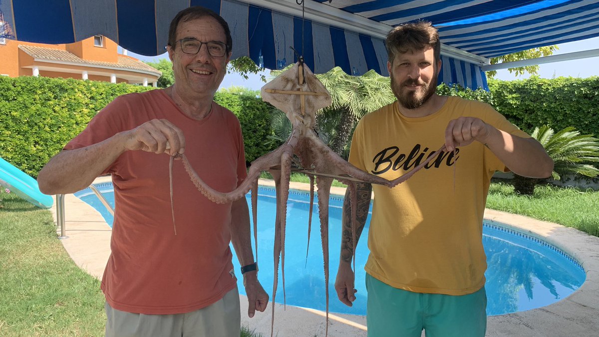 PacoBurguera's tweet photo. Encanyant i secant el primer #polp de l’estiu 2020. A l’estil de mon pare.
#Daimús #polpsec 🐙. 👍.
@terravivaapunt https://t.co/bS5B9vH2iq