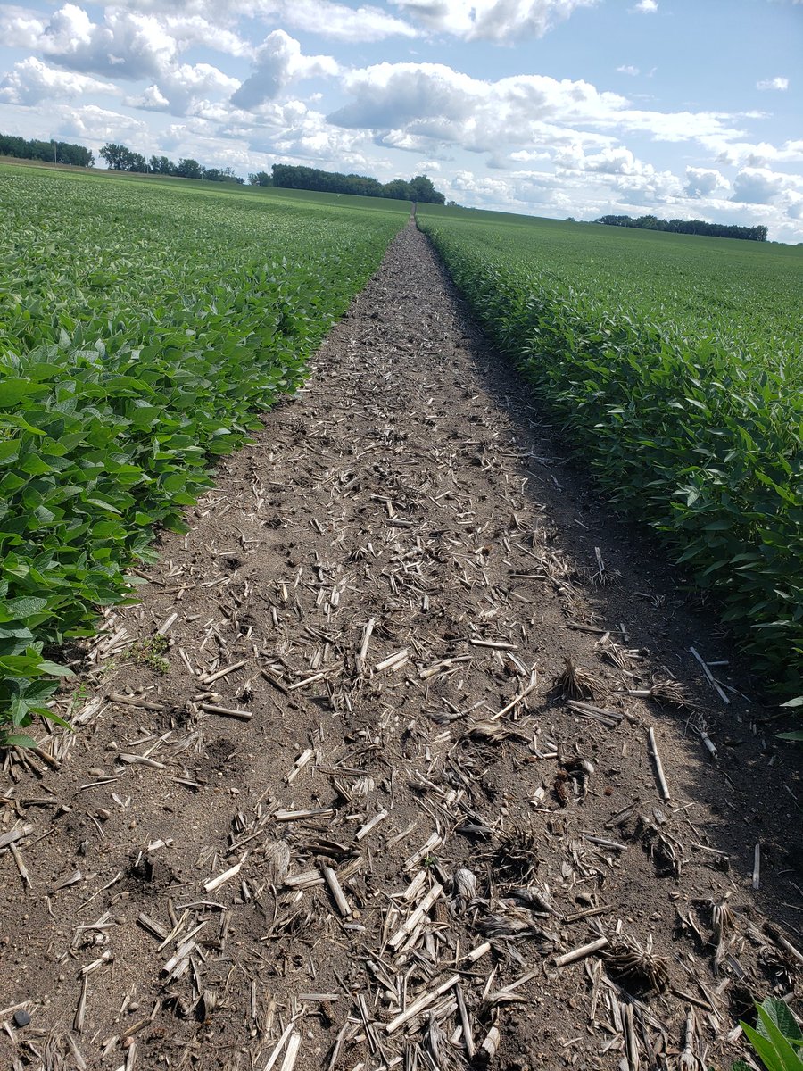 JerryRBeck's tweet image. Why add a residual with your post herbicide hmm.  🤔 @CHS_Brandon1