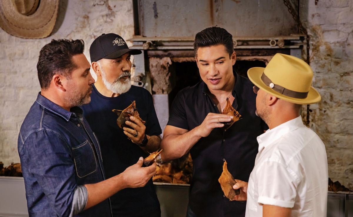 DonBuccio's tweet image. After 8 years of growing, our fully-matured agave plants are harvested by our #jimadores. It takes a special skill- and a lot of hard work- to harvest agave and it’s a tradition that often gets passed down from generation to generation.⠀⁣⁣⁣
⁣⁣⁣
⁣⁣