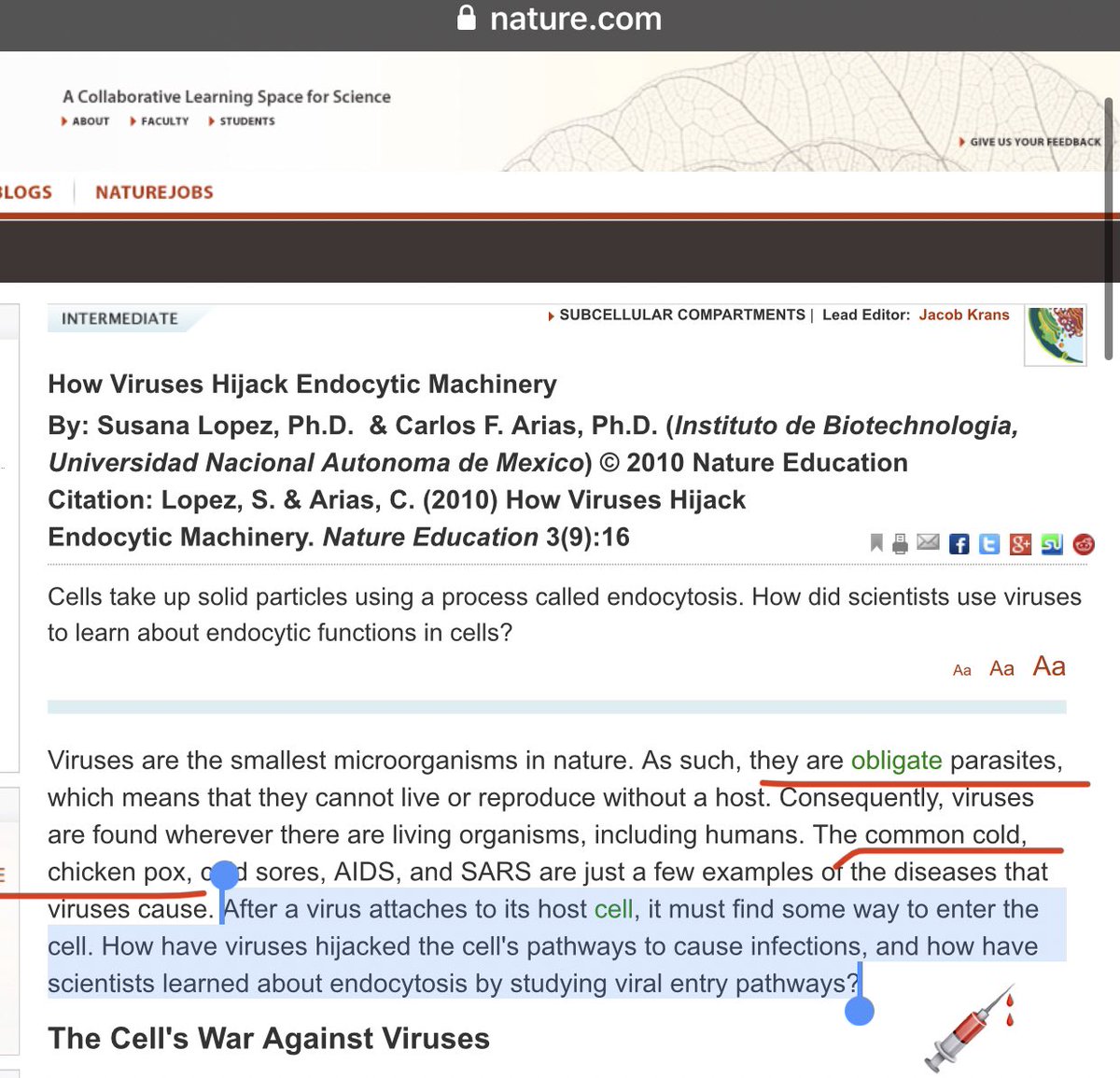 LaLaRueFrench75's tweet photo. Do the perps KNOW if the seeds of cancer can be implanted via vaccines? https://t.co/mgiGS2aZGr #DNAfrags #Endosomes #EndocyticPathway cc @ChildrensHD @HighWireTalk https://t.co/czSVfzSOzE