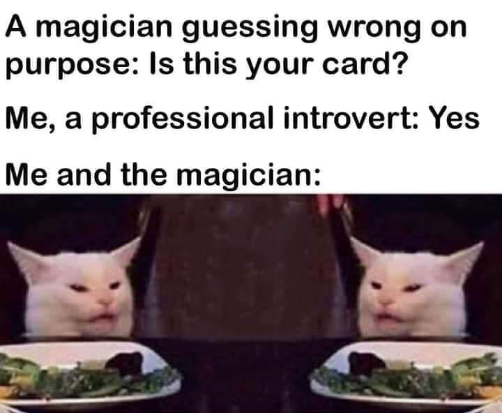 [meme monday 10 (missed)]Yea these tutorials are insulting instead of helping And the magician meme is so funny just imagine how a magician would feel and the confusion would be so funny