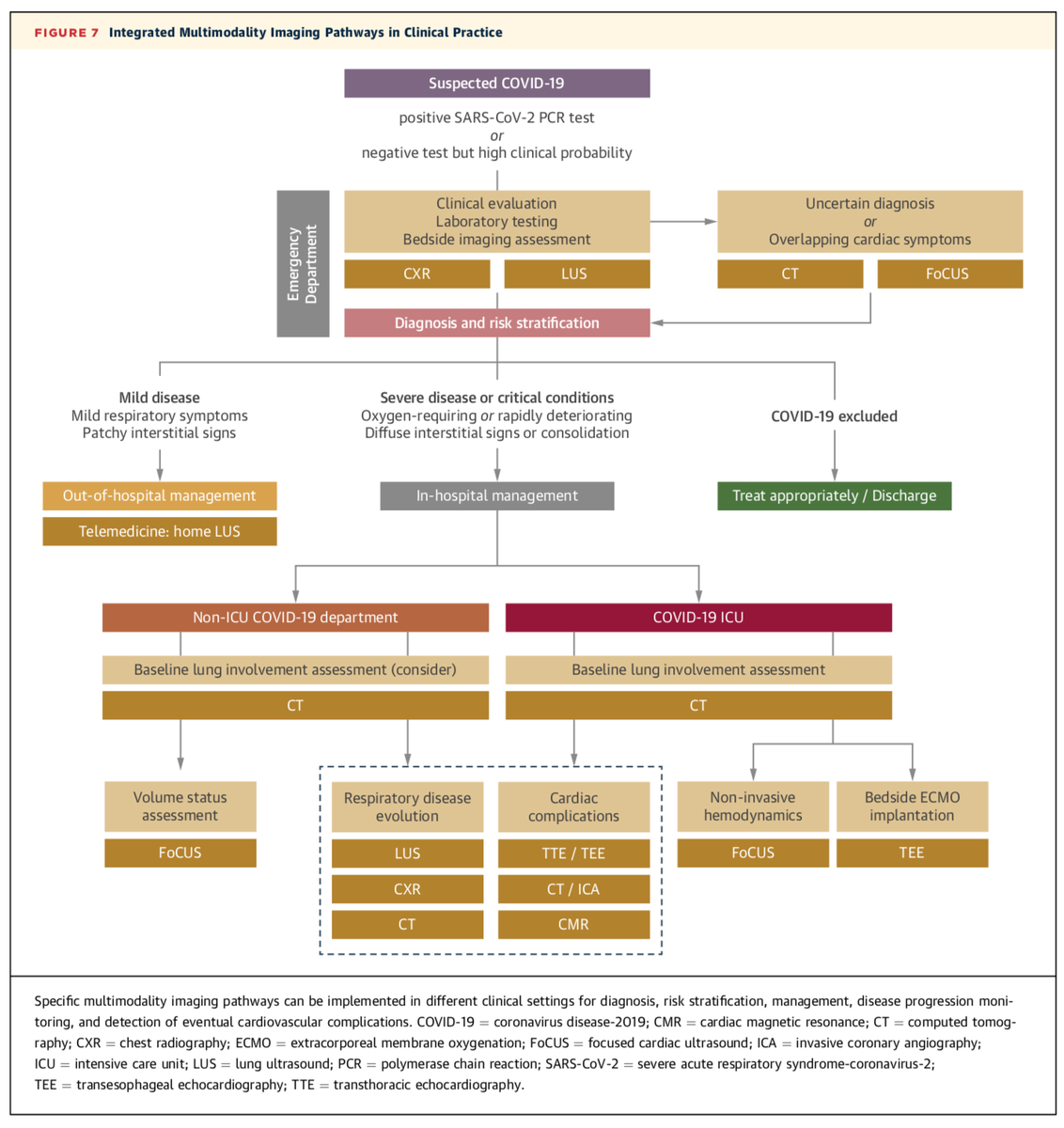 Edgardo Alania (@ed_alania) on Twitter photo 🔴Heart and Lung Multimodality Imaging in #COVID19 by <a href="/JACCJournals/">JACC Journals</a> #CardioEd #POCUS #echofirst <a href="/Ahmed43101178/">د . احمد سمان</a> <a href="/drahmedmohsen85/">Ahmed Mohsen</a> <a href="/GabriellaLocor1/">Gabriella Locorotondo</a> <a href="/chileanestesia/">Editora Revista Chilena de Anestesia</a> <a href="/saramoscatelli7/">Sara Moscatelli</a> <a href="/ecardioimage/">e-cardioimage</a> <a href="/marcelohaertel/">Marcelo Haertel Miglioranza</a> <a href="/fpmorcerf/">fernando Morcerf 🇧🇷 🇺🇸 🇨🇦</a> <a href="/gonzaeperez/">Gonzalo Perez</a> <a href="/CharityH4TW/">Health4TheWorld</a> <a href="/CardioCaribeMx/">Cardiopaps</a> <a href="/cardiojaydoc02/">Dorian L. Beasley MD, FACC</a> 🔴Heart and Lung Multimodality Imaging in #COVID19 by <a href="/JACCJournals/">JACC Journals</a> #CardioEd #POCUS #echofirst <a href="/Ahmed43101178/">د . احمد سمان</a> <a href="/drahmedmohsen85/">Ahmed Mohsen</a> <a href="/GabriellaLocor1/">Gabriella Locorotondo</a> <a href="/chileanestesia/">Editora Revista Chilena de Anestesia</a> <a href="/saramoscatelli7/">Sara Moscatelli</a> <a href="/ecardioimage/">e-cardioimage</a> <a href="/marcelohaertel/">Marcelo Haertel Miglioranza</a> <a href="/fpmorcerf/">fernando Morcerf 🇧🇷 🇺🇸 🇨🇦</a> <a href="/gonzaeperez/">Gonzalo Perez</a> <a href="/CharityH4TW/">Health4TheWorld</a> <a href="/CardioCaribeMx/">Cardiopaps</a> <a href="/cardiojaydoc02/">Dorian L. Beasley MD, FACC</a>
