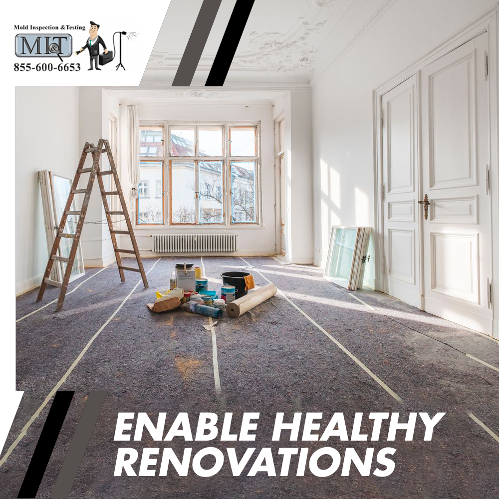 Once the contaminated material is removed you will want to put the pieces back together in an uncontaminated environment. Furthermore, it makes sense to identify any contaminated areas  prior to putting up new ceiling, walls and flooring.