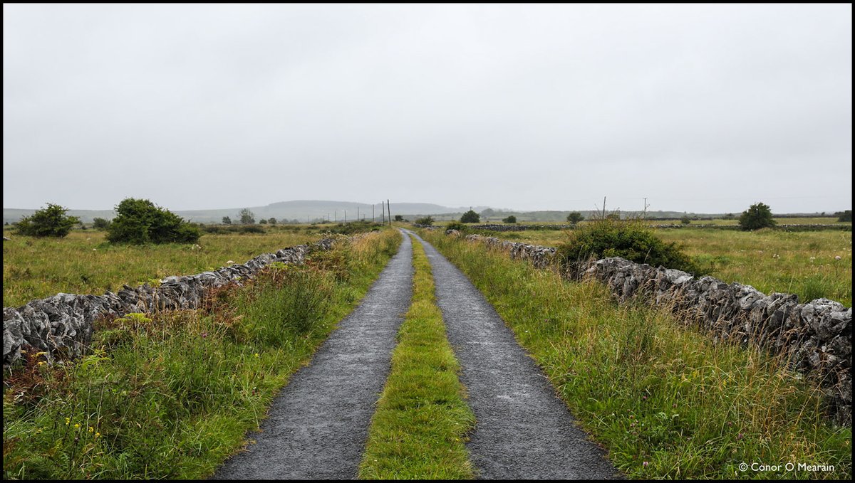 KidCon's tweet photo. Greens &amp; greys.. the predominant colours of north Clare around the Burren, a wonderful place to spend a few days. #Clare #thebannercounty  #theburren #irishsummer #Covid_19ireland @PPAI_IRL https://t.co/i07ojea2wU