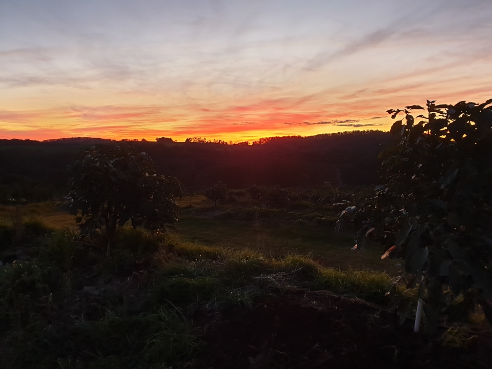 GreenBrain.ag tweet media