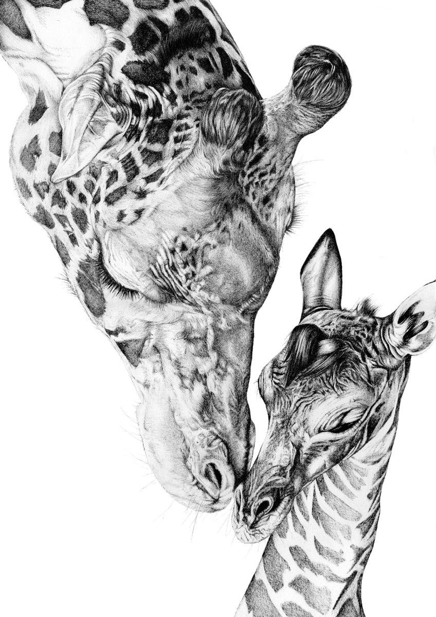 ChristophPratt_'s tweet photo. @ZerkaaHD i hear @Freyyx likes giraffes. Nice little gift idea from a local artist. https://t.co/F6Pnm5IKbX https://t.co/n5eouJjbfd