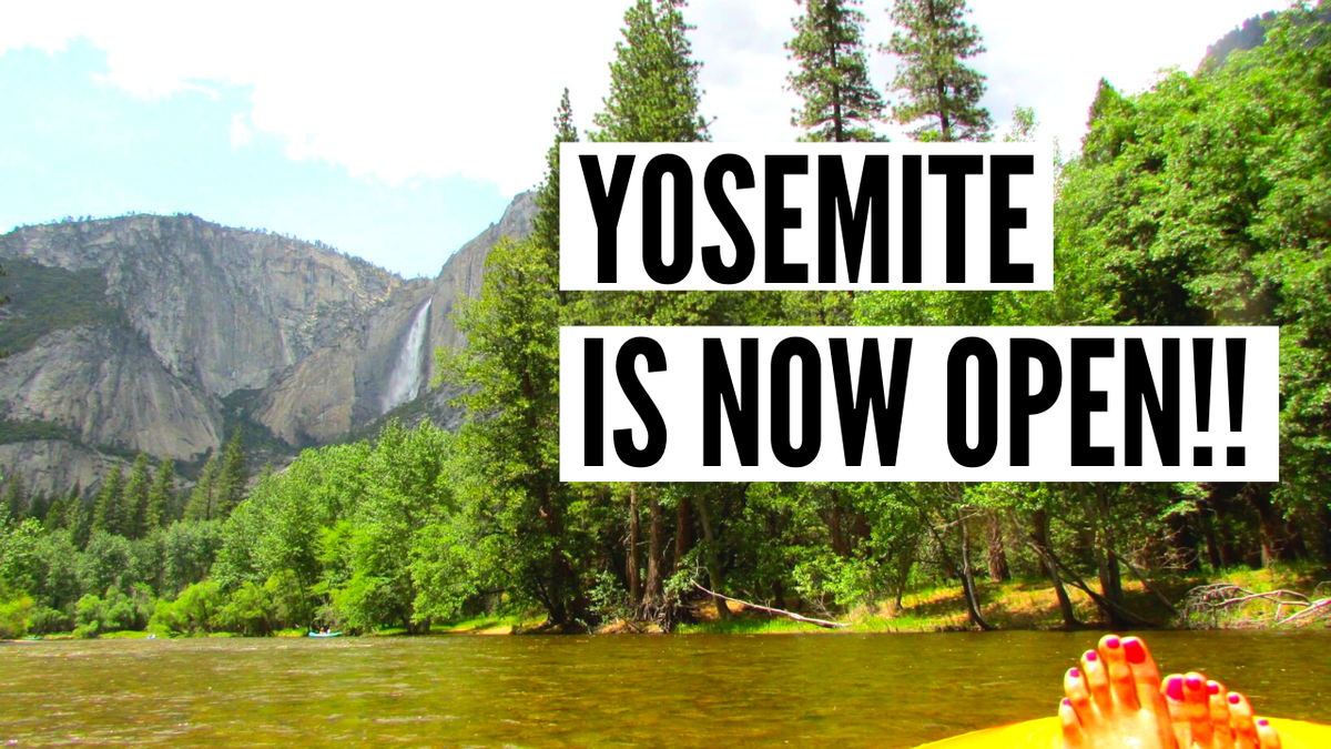 JLovingWarrior's tweet photo. Amazing trip to @YosemiteNPS last week. The park is limiting occupancy - a once in a lifetime opportunity to see #YosemiteNationalPark with no crowds (esp in the summer). See our trip + learn how you can visit here: https://t.co/y9C7SKPv9M. 
#yosemitereopening #yosemite https://t.co/0OyX9lUSmR