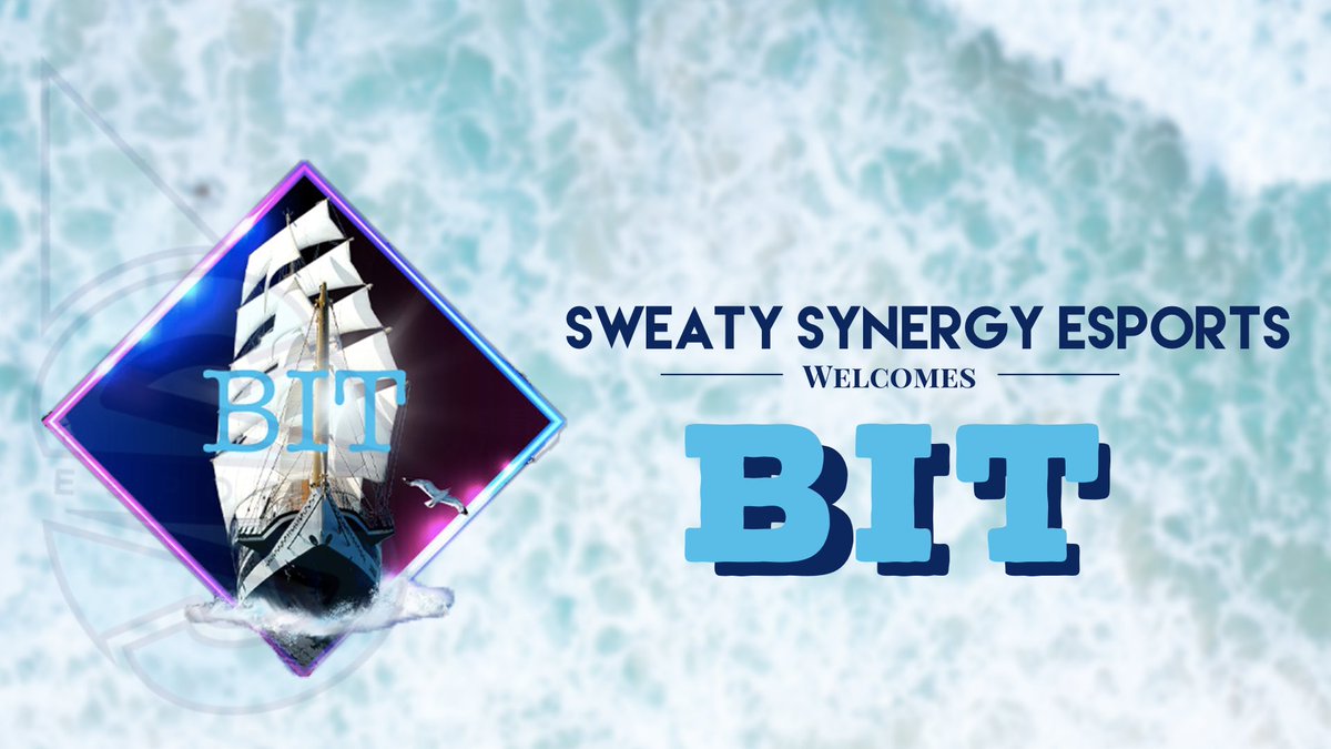 Sweaty Synergy Esports tweet media