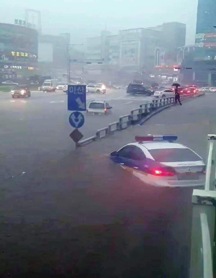 세계 최고 수준의 원전을 버렸죠. 그리곤 98% 이상의 이익이 중국에 돌아가는 태양광한다고 멀쩡한 나무 잘랐지요. 좌파 환경단체와 합세해 물길 찾는다고 4대강 보 허물고 ...결국 보시죠. 그리고 이 사진은 중국이 아닌 한국이  배경입니다.
