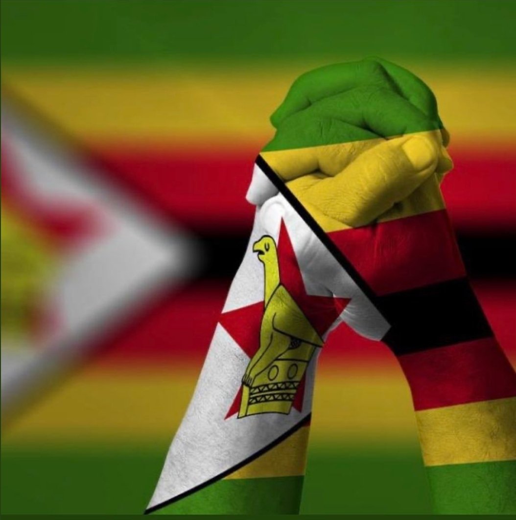 DigitalElmnts's tweet photo. #ZimbabweanLivesMatter https://t.co/hjf16BG9sJ