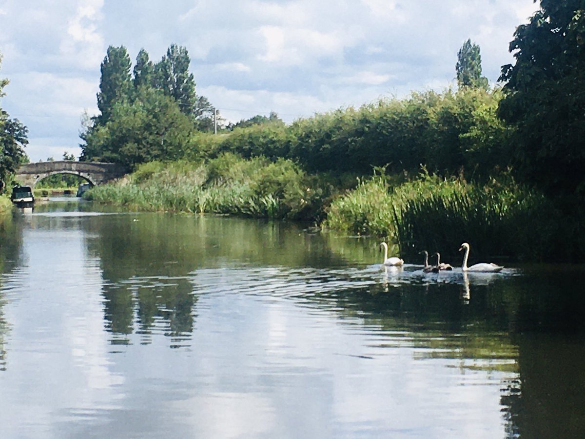 ShellsEllison's tweet image. Day 2 of our SUP ‘Coast to Coast for Mental Health’ for @MindCharity paddling Liverpool to Goole. So many amazing chats with strangers today, generous charity donations and blown away by how beautiful the canal is! #asktwice #oktosay #sayyesmore