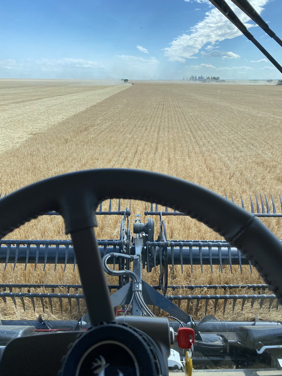 And so it begins #harvest20