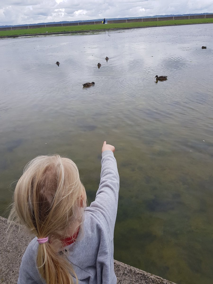 A few little adventures today for day 3 #WeActiveChallenge #NursesActive #exploring