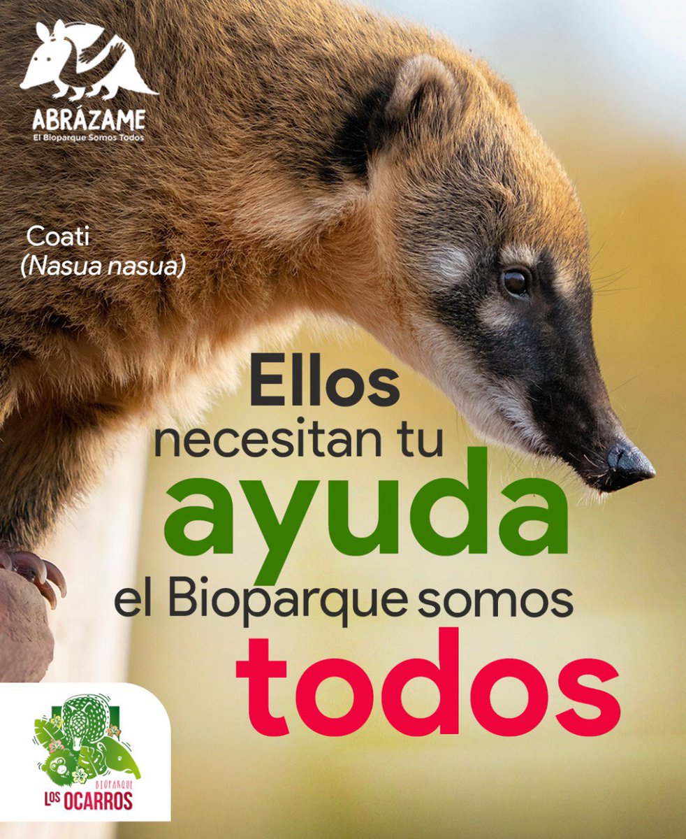 ¡Salvemos al Bioparque! 

Los 638 ejemplares del <a href="/BiopOcarros/">Bioparque Los Ocarros</a> en Villavicencio nos necesitan. Con tus donaciones aportas a la alimentación de las 146 especies.
 
Cuenta corriente Banco Caja Social No. 21003174635 
Razón social: Corpometa
NIT: 822002732-4
Celular: 300 815 6222