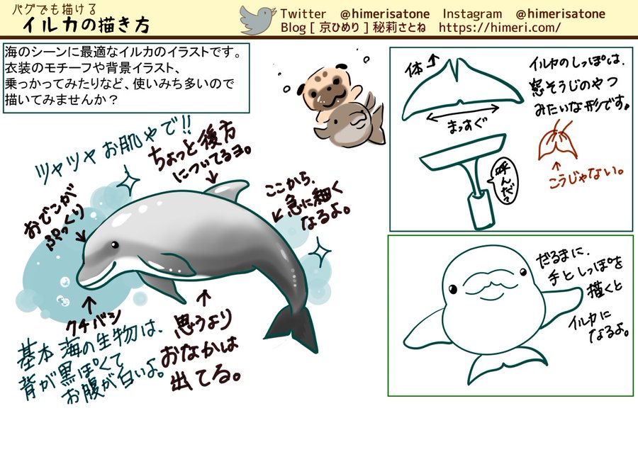 イラスト講座 動物 Twitter 京ひめり