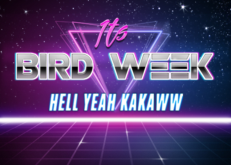 DexWildlife's tweet photo. Quarantine keeps us from having holidays or celebrations..
So let's make our own online holiday YEAH!
ALL ABOUT BIRDS THIS WEEK, NEW STRANGE BIRD EVERYDAY 🦅 https://t.co/24WFKLCzRu
