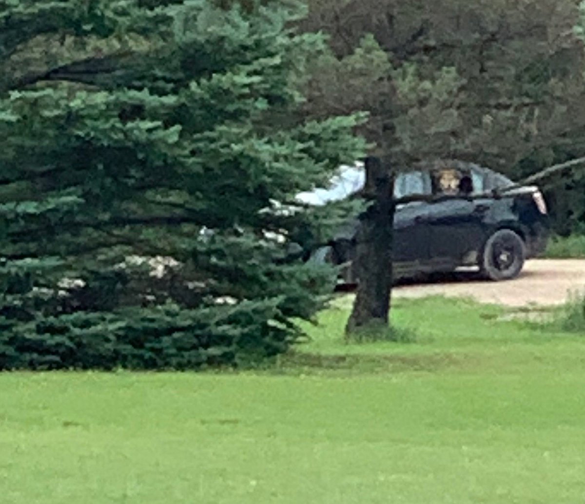 WGPS would like to speak to the owner of this vehicle observed today on Side Road 50 in Glenelg. The occupants in the vehicle appeared to be attempting to get two dogs into the vehicle that did not belong to them. Please contact WGPS 519-369-3046 if you have any information