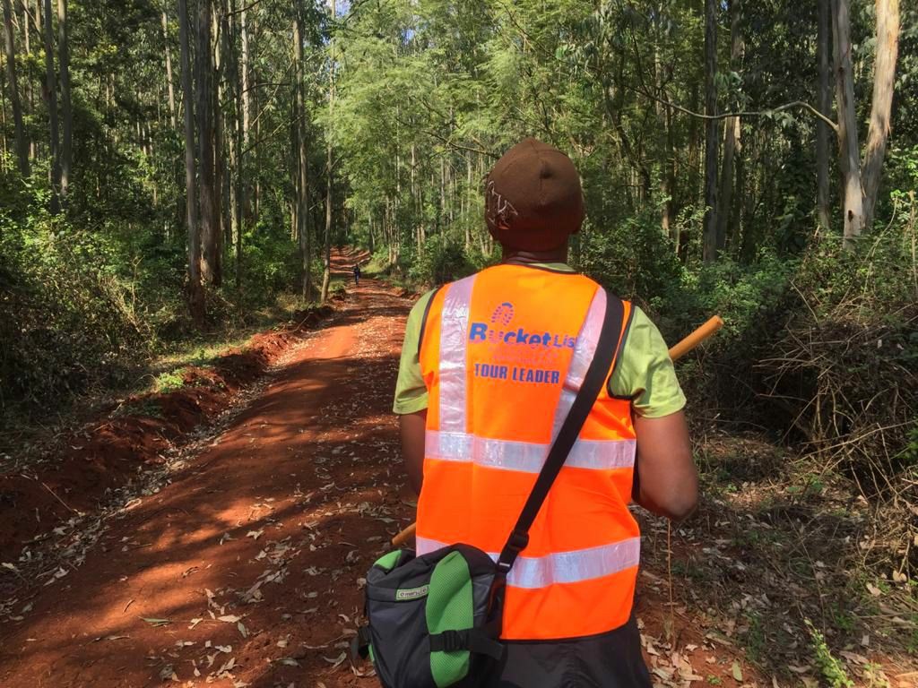 AfroBucketlist's tweet photo. We are passionate about creating safe spaces for Kenyans and guests to enjoy the outdoors.  This here is a local guide team we are working with to making Thogoto forest a visitor ready destination in Nairobi.  #CommunityGuides #Greenspaces https://t.co/258jxBuIt5