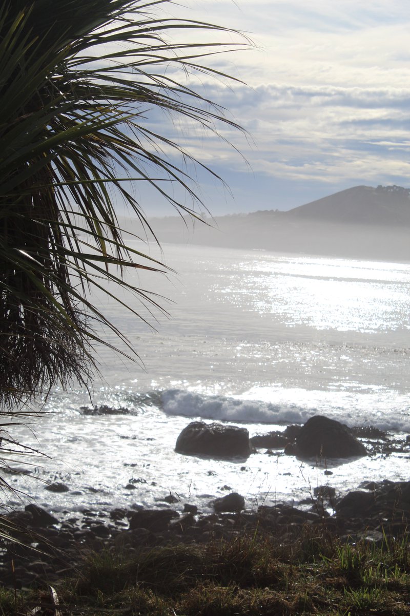 allanrob9's tweet photo. looking out from #Huriawa #Karitane towards #Matanaka. https://t.co/p0O0dDHlWf
