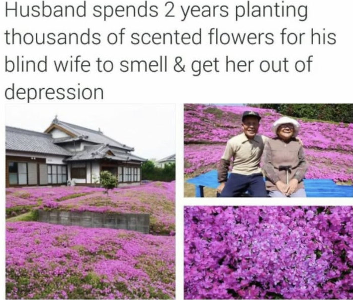 WholesomeMemes (@wholesomememe) on Twitter photo 