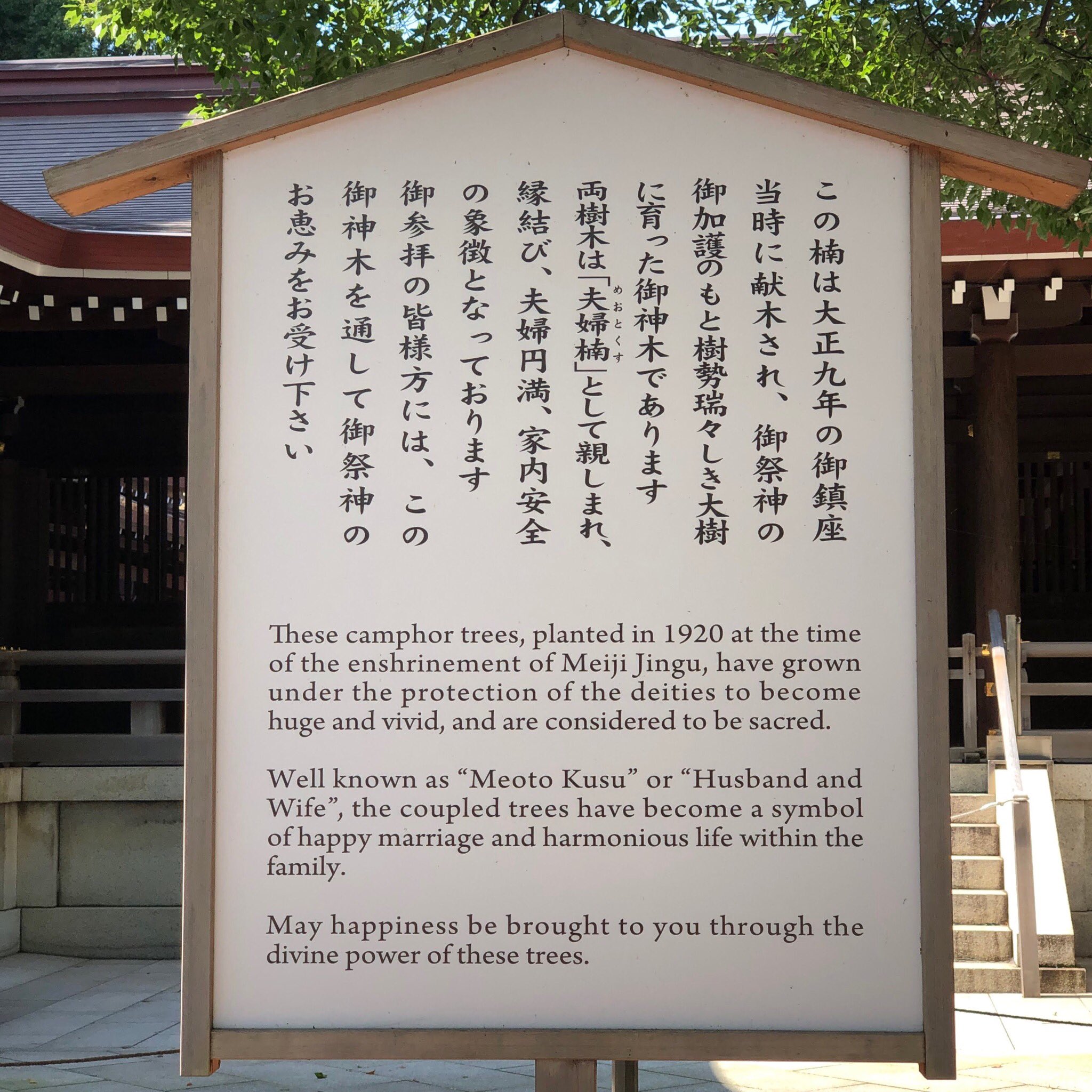 Wrath Of Gnon Tara I Have Spent A Lot Of Time Under The Shade Of These Two Trees Twitter