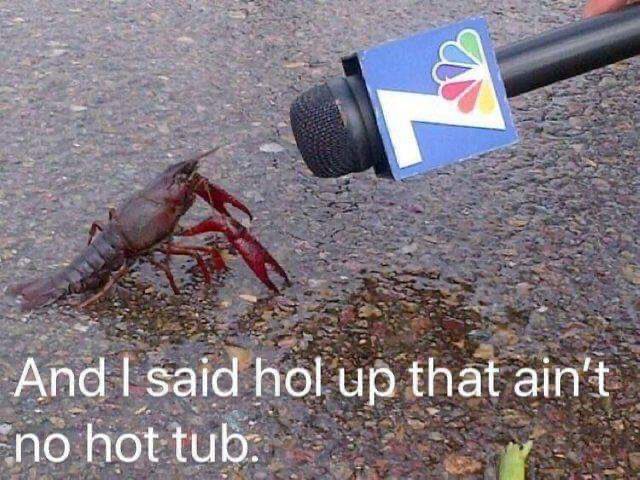 bambinasalina's tweet image. this still cracks me up