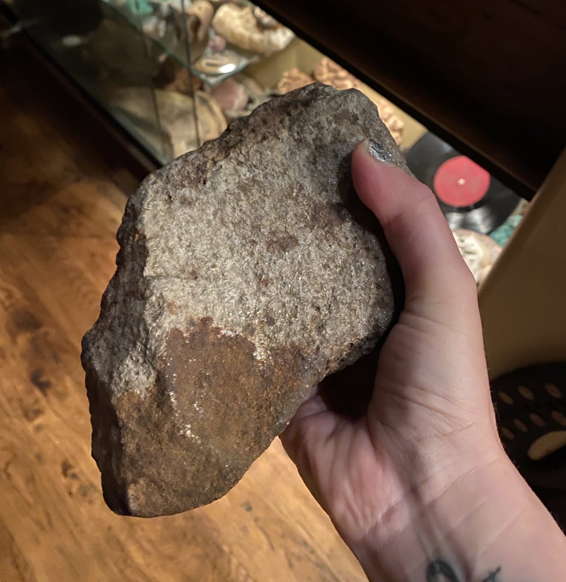 Pinar Toprak tweet media