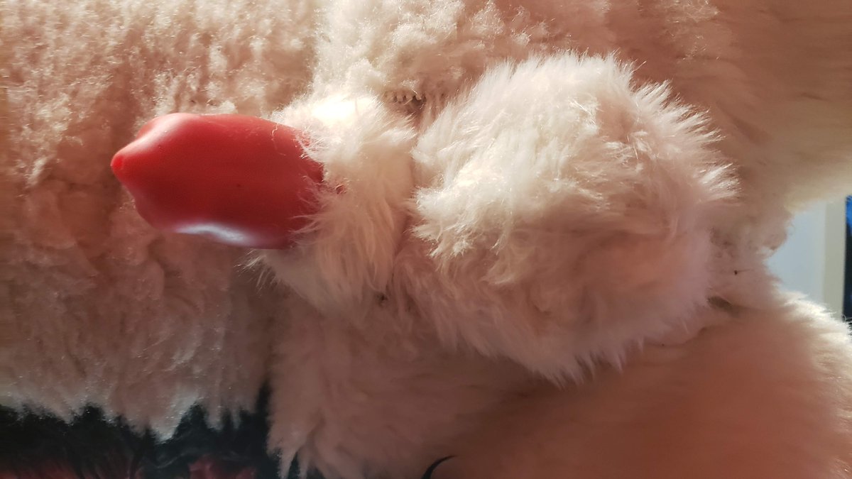 CennyAD's tweet photo. RT to bless someones timeline with Dog-dick :3 https://t.co/cwC5o2ueNg