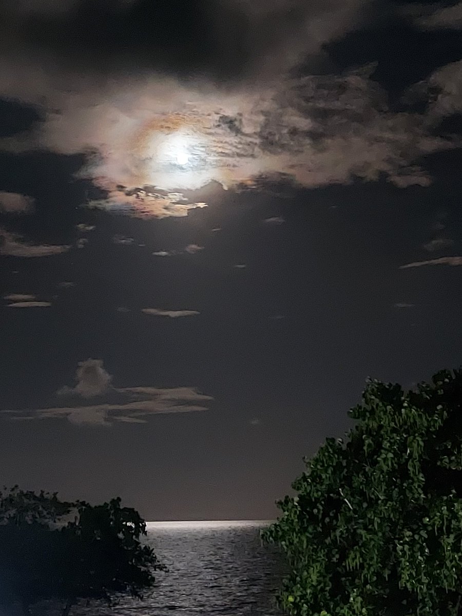 Ahora si buenas noches.