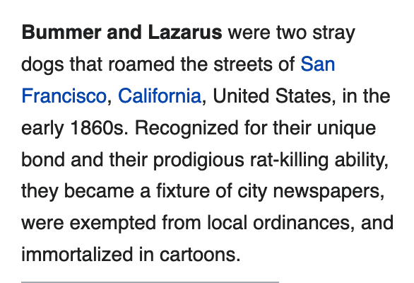 Trying to find a rat terrier to rent, I came across this amazing bit of SF history: " https://en.wikipedia.org/wiki/Bummer_and_Lazarus